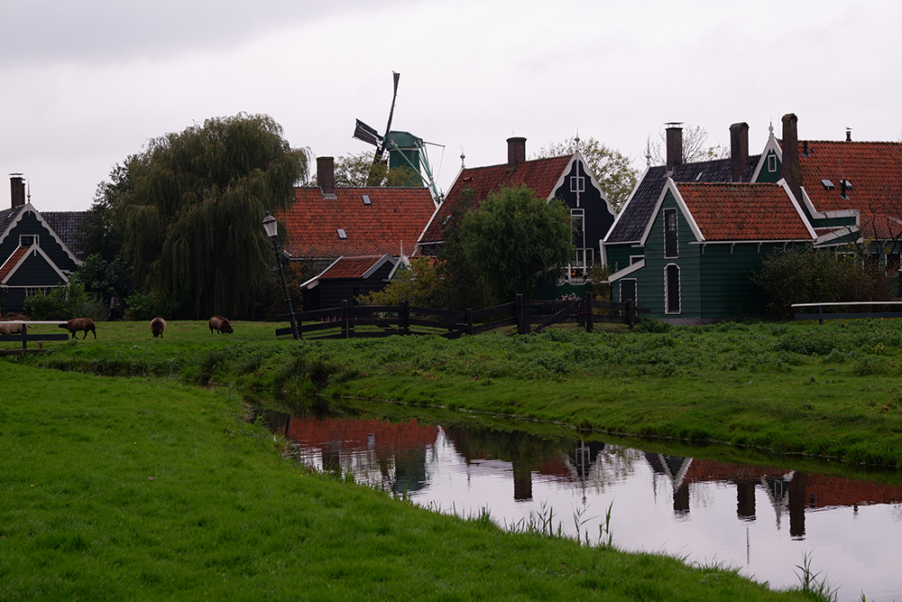 Amsterdam day trips: Zaanse Schans village in pictures: small water stream with houses behind it