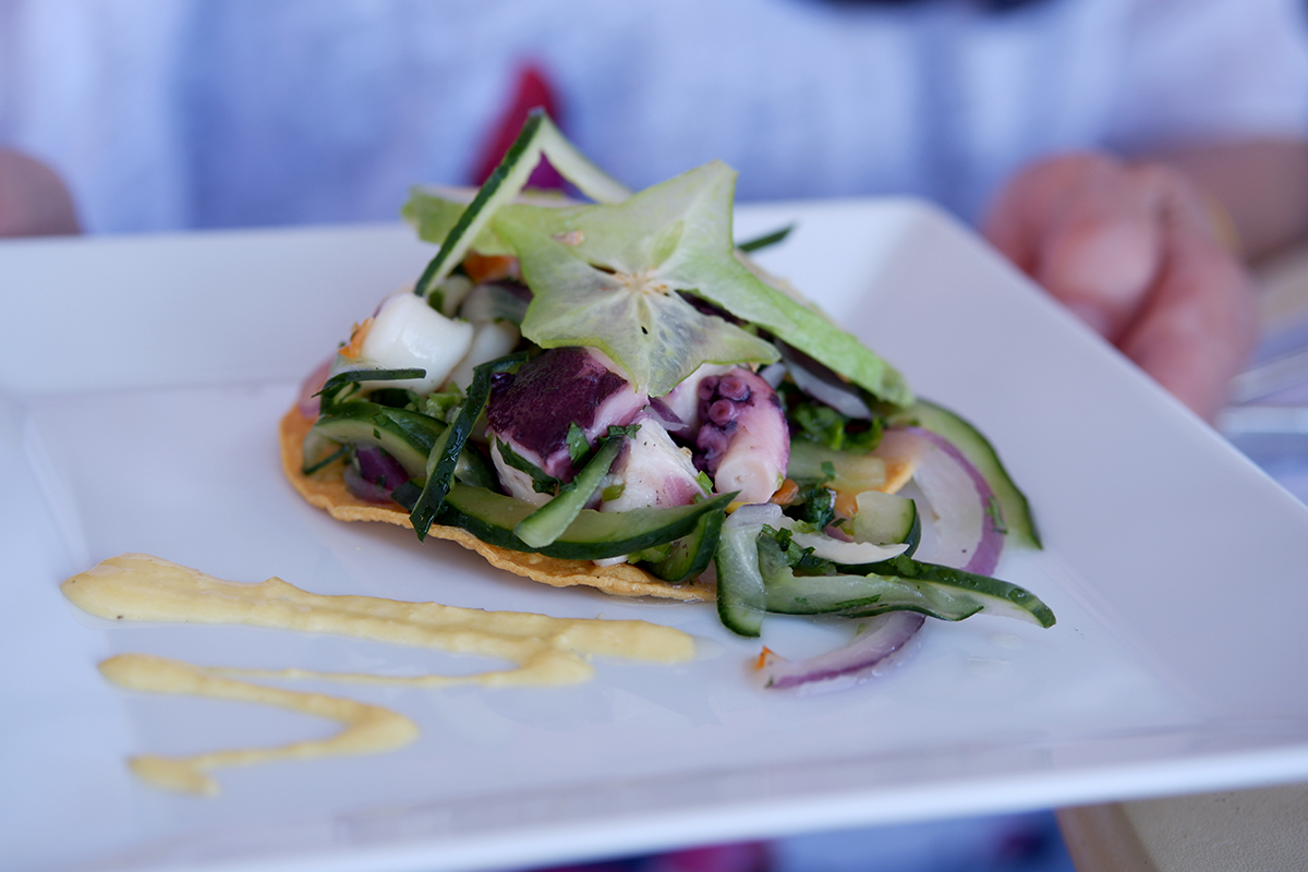 Review of Grand Fiesta Americana Puerto Vallarta: squid ceviche with greens on top