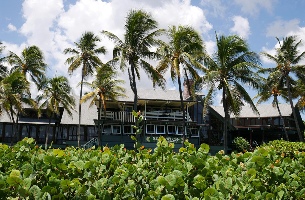 A quick getaway to Fort Lauderdale by the Sea, Sea Watch On the Ocean restaurant nestled behind palms