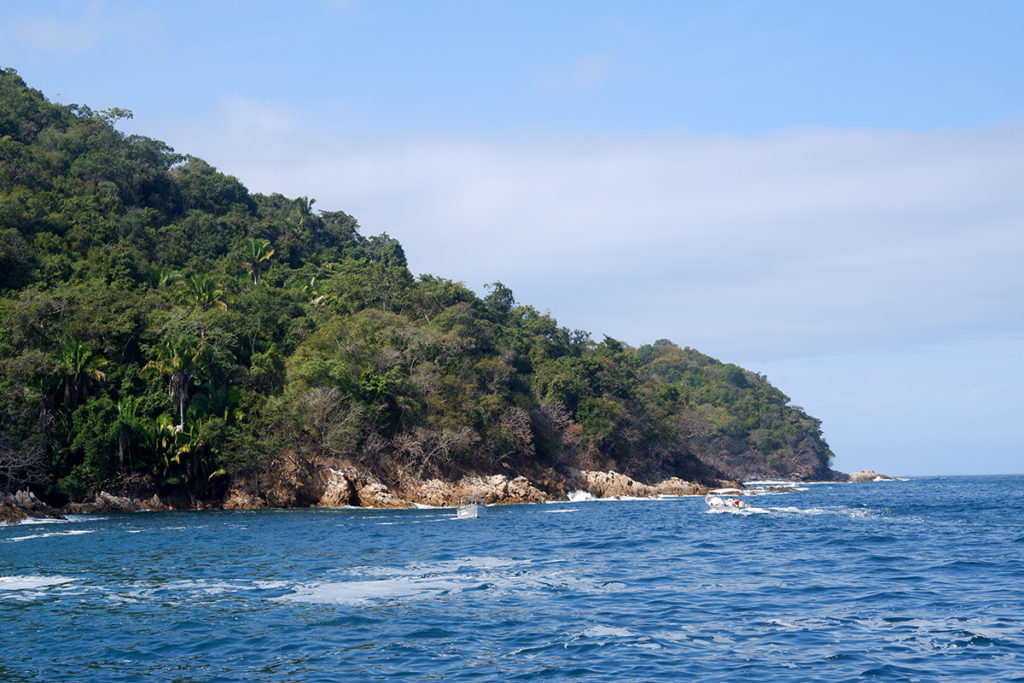 Islas Marietas by boat or No more tequila for Brenda: an island covered by luscious greenery 