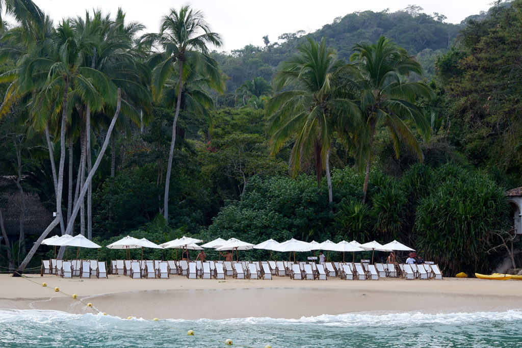 Puerto Vallarta is for the grownups and other stories: a view on a beach with tall palm trees and a row of white sun-beds under white umbrellas 