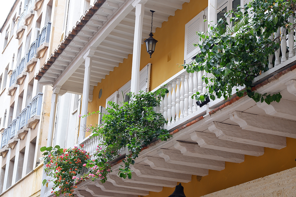 What to do and see Cartagena's Walled City and other Colombian basics: close up of a balcony with flowers on the railings 