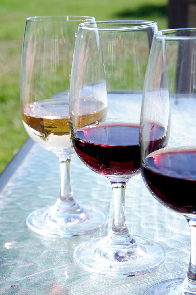 A guide to the Twenty Valley wine region: a lineup of wine glasses