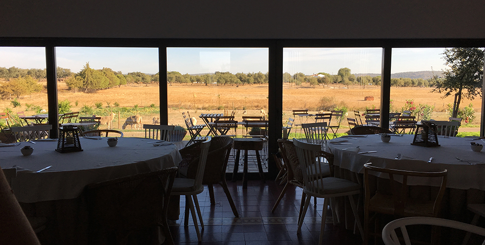 Finding peace at Tivoli Évora Ecoresort, Portugal: restaurant window looking out into the field 