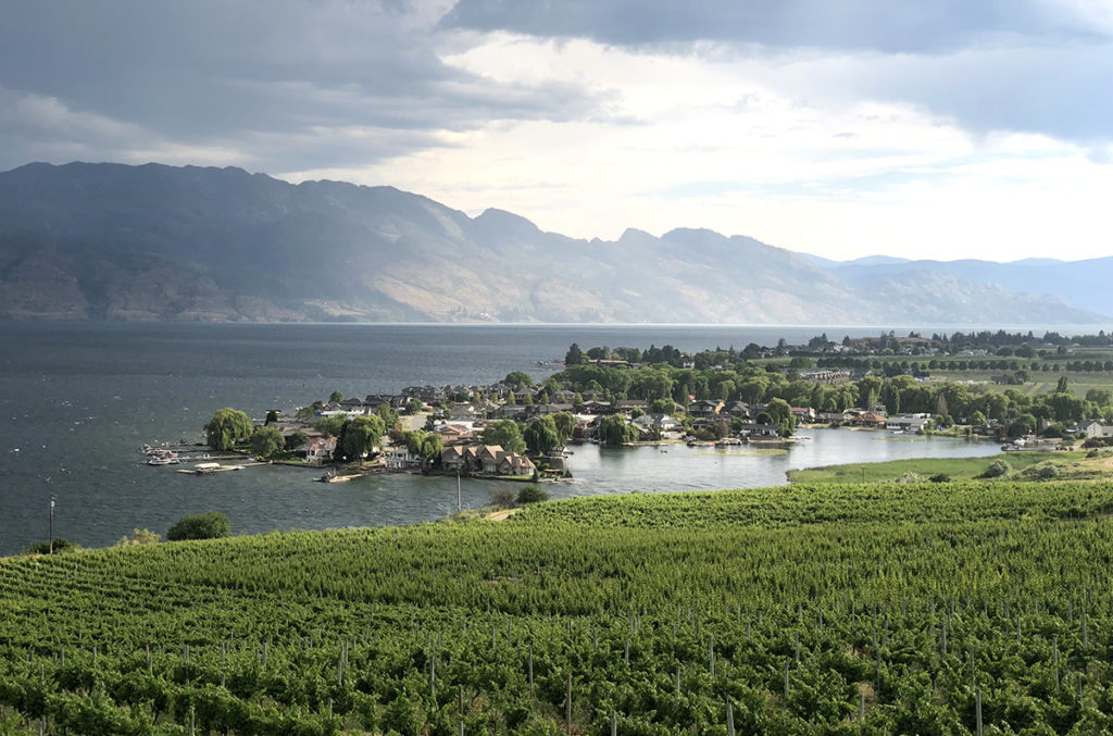 Your ultimate Vancouver to Alberta road trip: Winery scenes in Kelowna