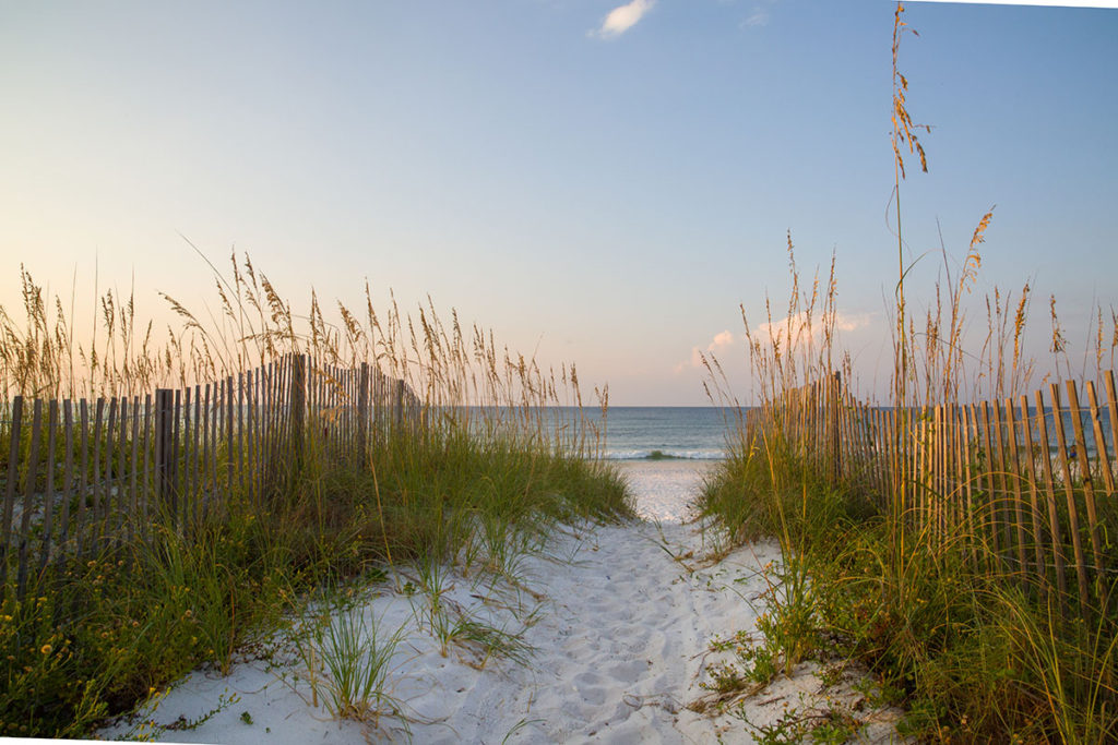 A few amazing places you can visit virtually Pensacola, Beach Access with Sea Oats 