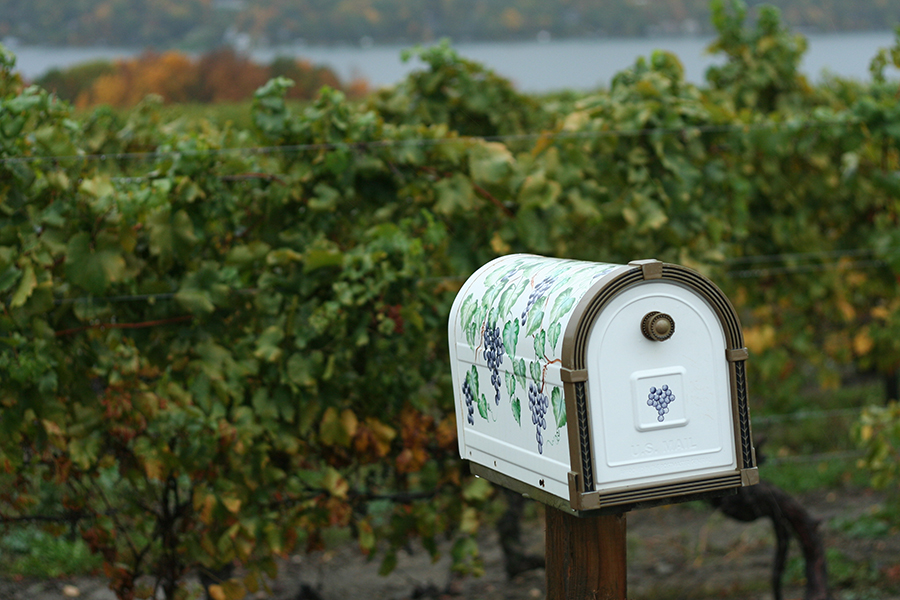 A weekend road trip through the Finger Lakes: winery