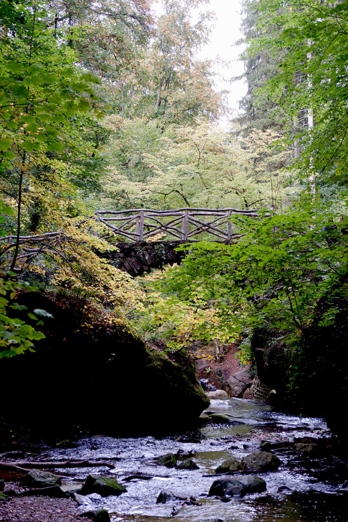 In pictures: A quick walk through the Mullerthal Trail, Luxembourg: a small wooden bridge over water