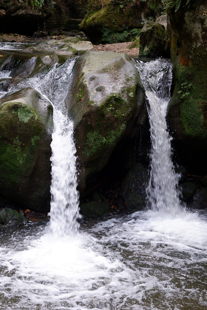 In pictures: A quick walk through the Mullerthal Trail, Luxembourg: two streams of water rushing down around a rock