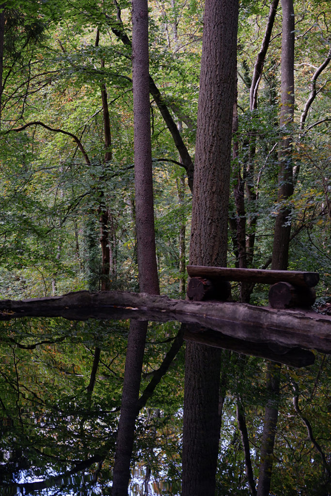 In pictures: A quick walk through the Mullerthal Trail, Luxembourg: glass pool of water and a wooden bench