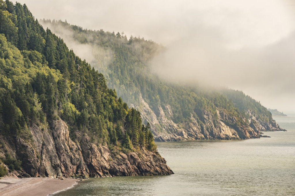 Planning a trip through New Brunswick's Bay of Fundy region: Fundy Parkway