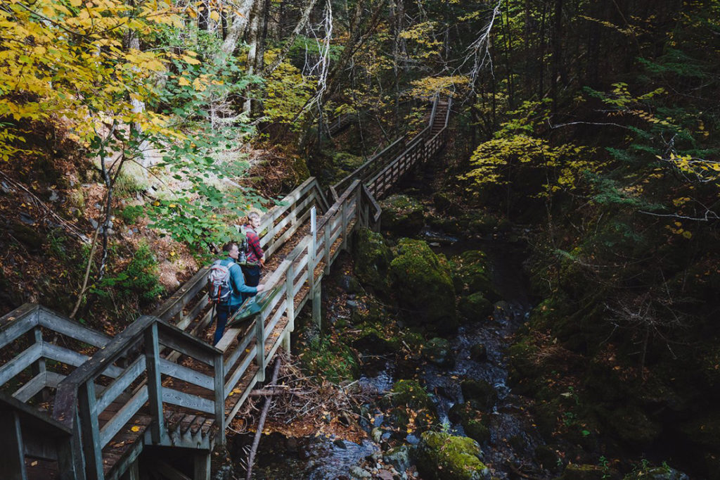 Planning a trip through New Brunswick's Bay of Fundy region: Fundy trail stairs going down into the forest 