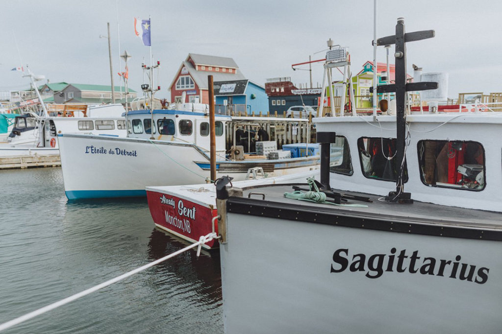 Planning a trip through New Brunswick's Bay of Fundy region