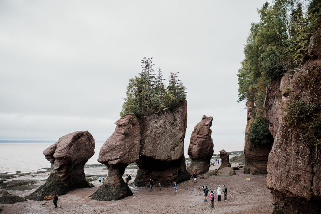 Planning a trip through New Brunswick's Bay of Fundy region: Hopewell Rocks.