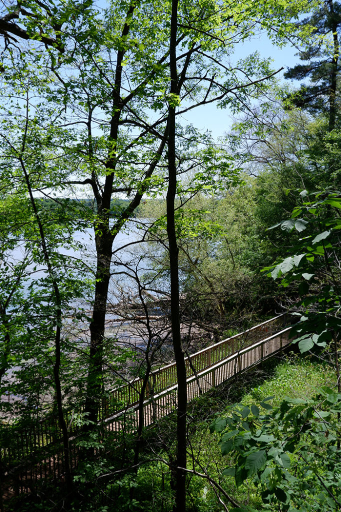 Royal Botanical Gardens  Hamilton