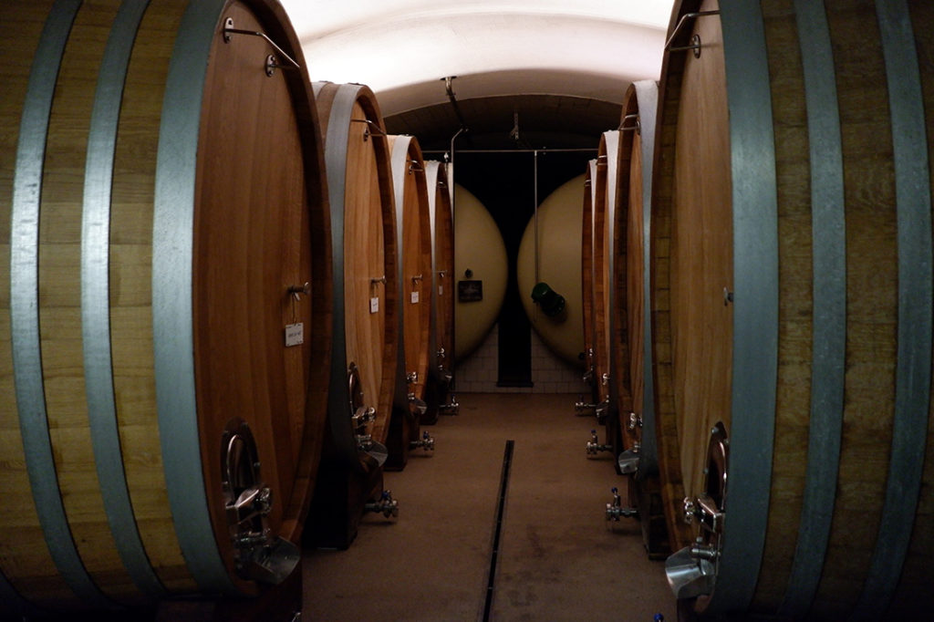 The views & flavours of the Luxembourg wine country: wine cellar 