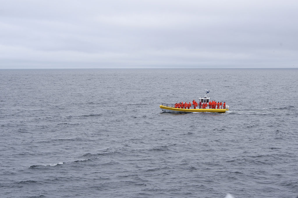 Whale watching in Québec Maritimes