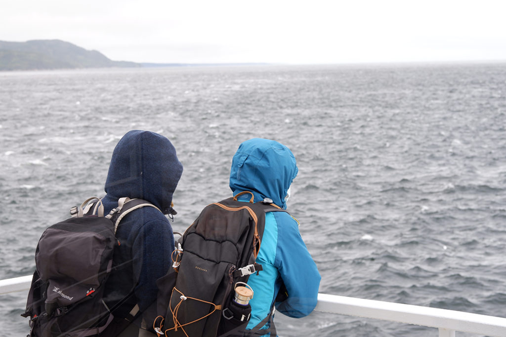 Whale watching in Québec Maritimes: two people looking overboard 