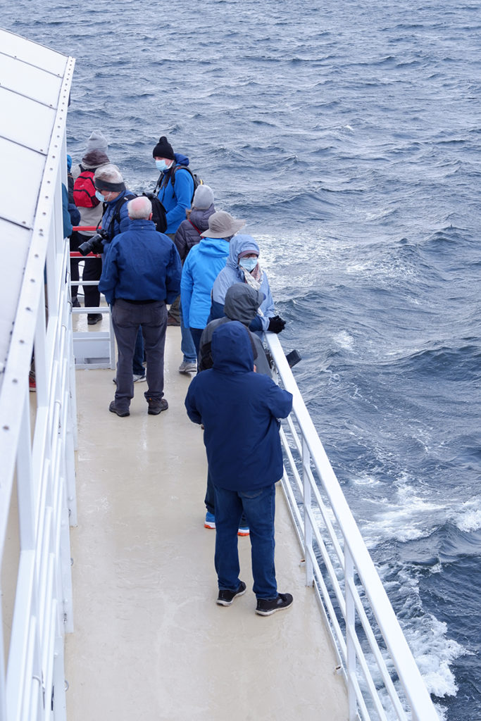 Whale watching in Québec Maritimes: people gathered on the bottom deck looking over board