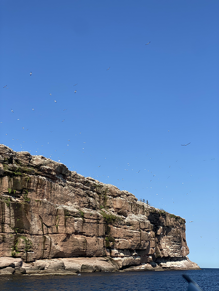  Les Bateliers de Percé views - The great adventure through Quebec Maritimes