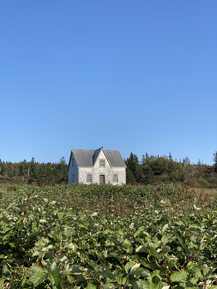 small house in a green field with blue sky