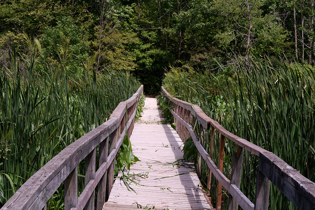 Postcards from Selkirk: Selkirk Provincial Park