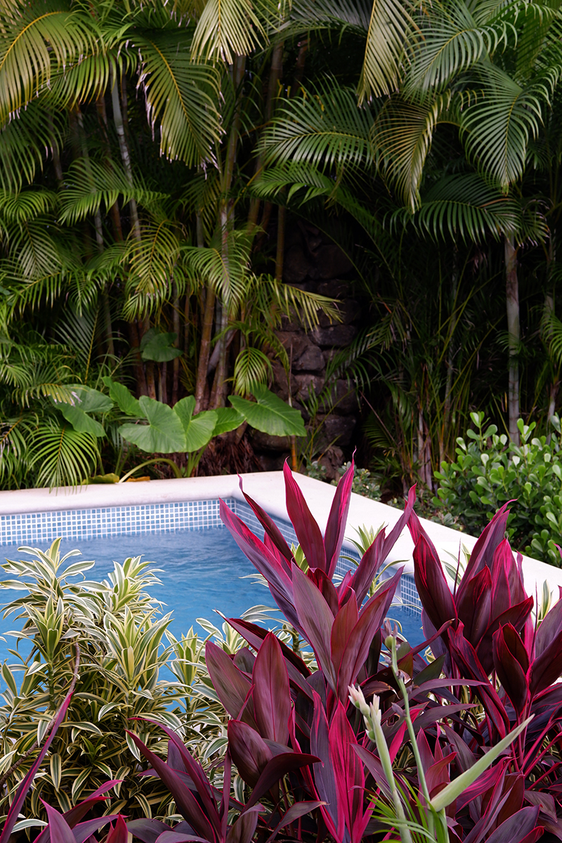 Hotel Punta Islita Costa Rica, Honeymoon Suite: plunge pool and greenery