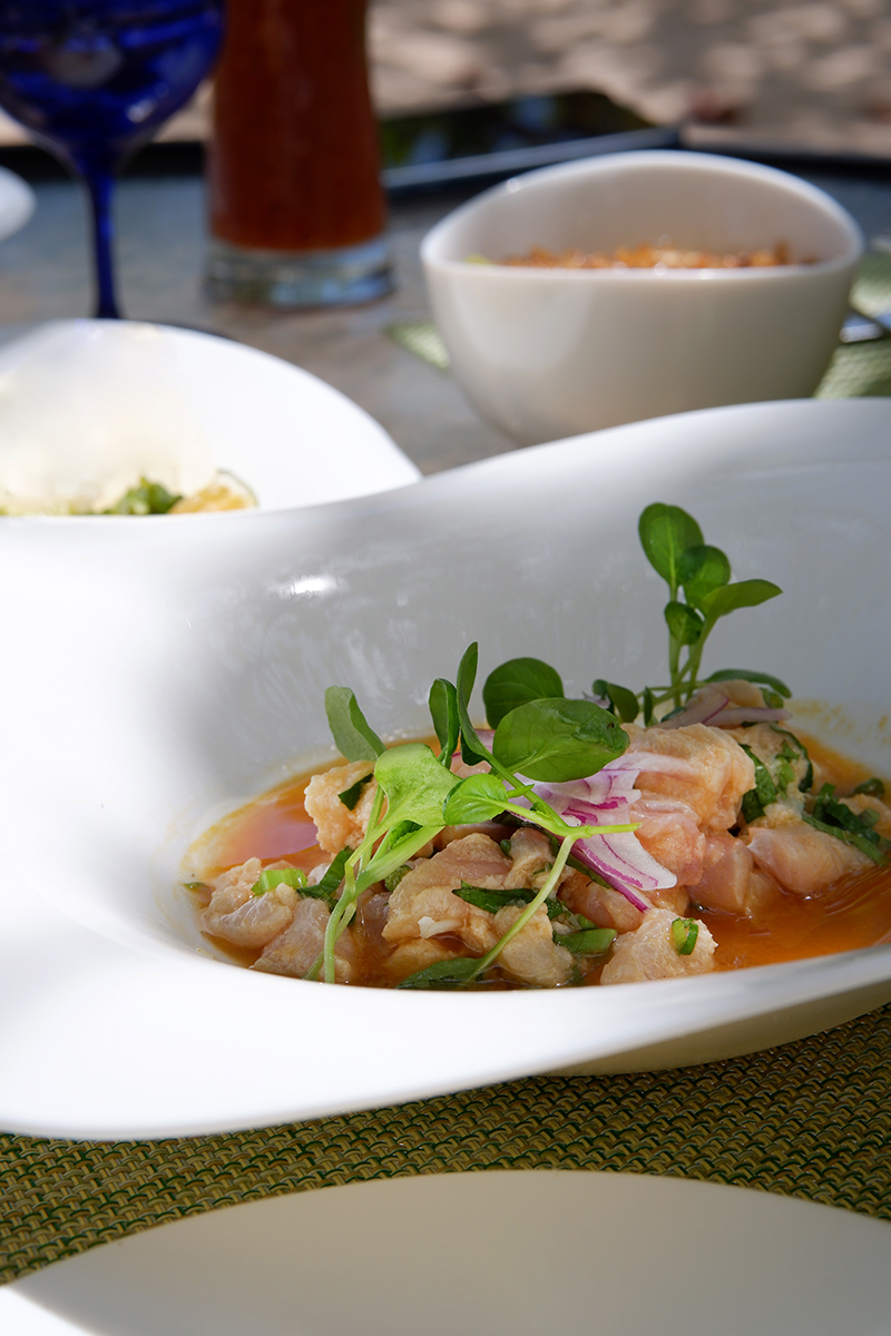 Hotel Punta Islita Costa Rica, Honeymoon Suite: white fish ceviche 