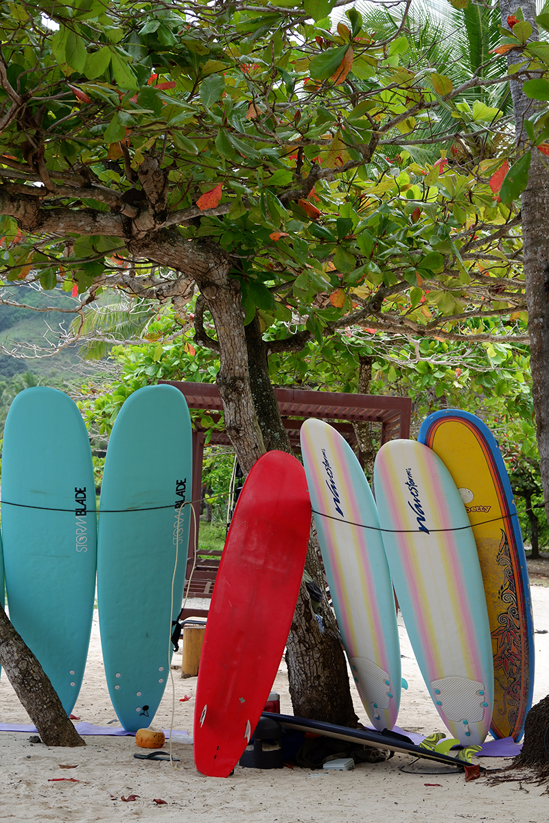 Hotel Punta Islita Costa Rica: surfboards stacked by a tree