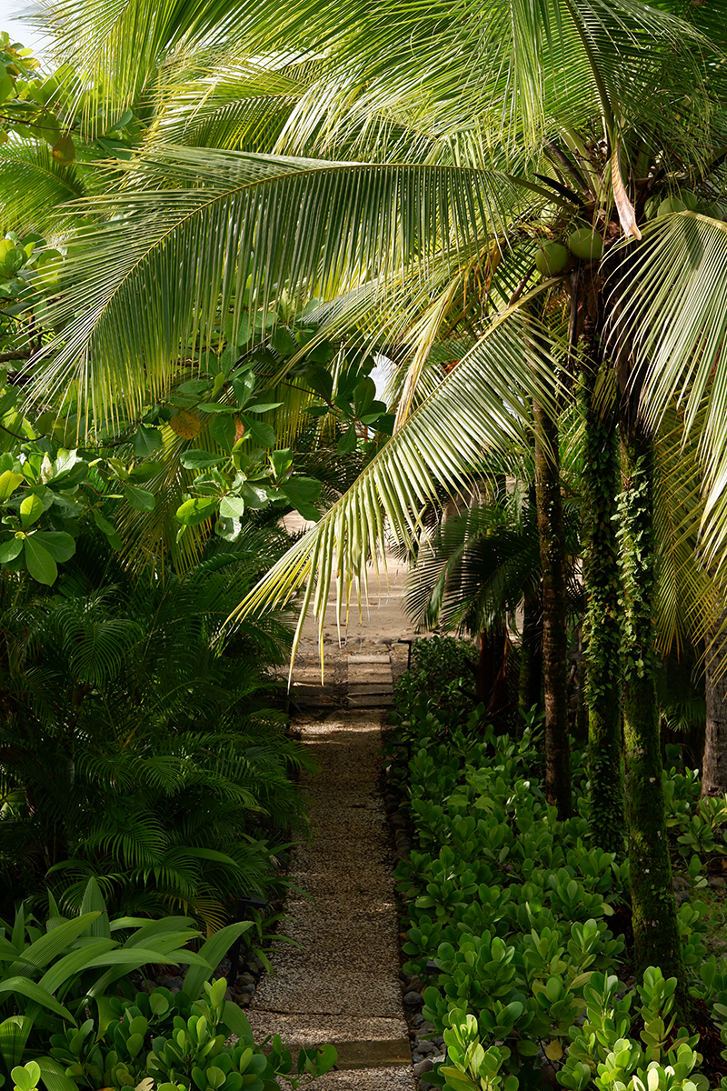 Hotel Punta Islita Costa Rica: path to the beach shaded by palms