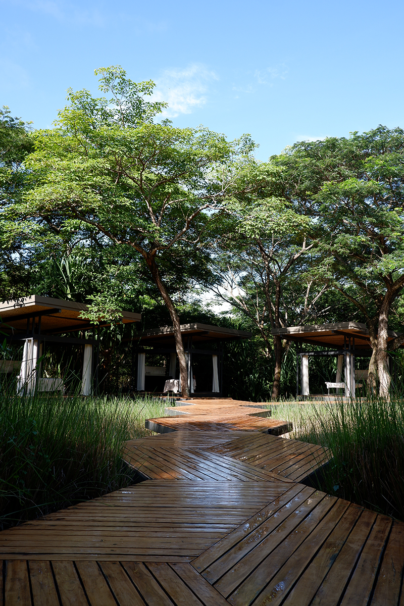 Outdoor spa at the El Mangroove Hotel, Costa Rica. View of the wooden trail toward the massage cabanas