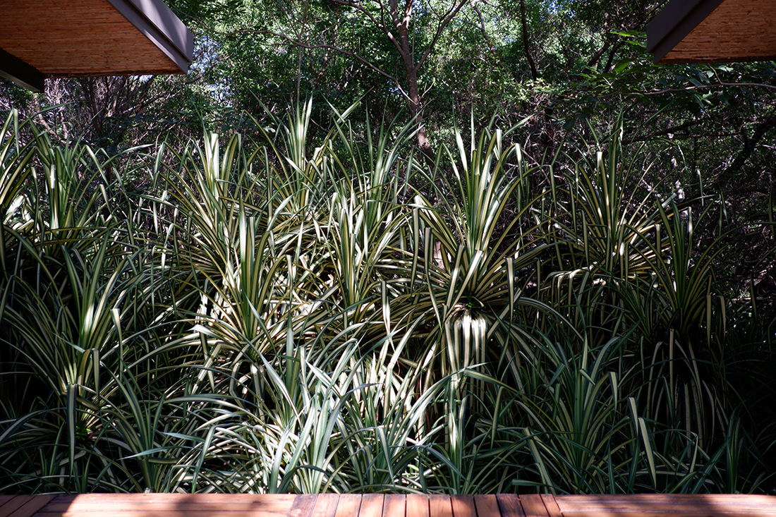 Outdoor spa at the El Mangroove Hotel, Costa Rica plant wall