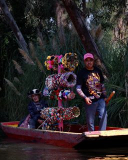 Double-tap if you’d like float along the Xochimilco canals 😊

The boats are called ‘trajineras’ & you can purchase a placement of your name on the boat, how fun would that be! 

Many local vendors are also cruising between the boats selling corn, flower crowns, micheladas & some are even occupied by full mariachi bands! 

Our tour was hosted by @picnixhic & was absolutely lovely!

#xomexico22 #WanderfulCDMX #Xochimilco #mexicocity #visitmexico #roamtheplanet