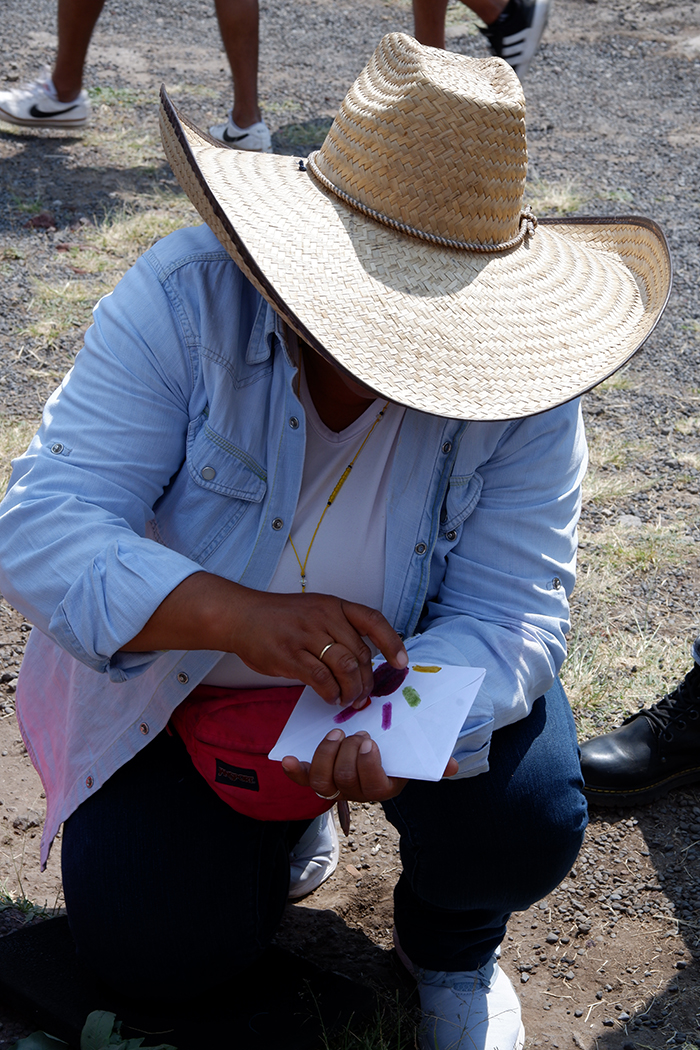 A woman drawing purple lines on a white envelop using locally grown greenery 