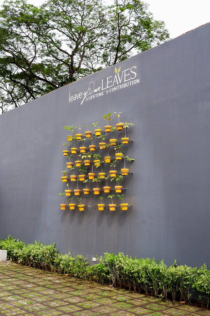 Sleep among the mangrove trees at El Mangroove Hotel Leave Your LEAVES wall with flower pots