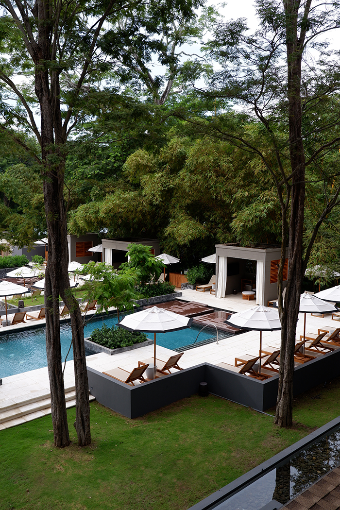 Sleep among the mangrove trees at El Mangroove Hotel, pool and sunbeds