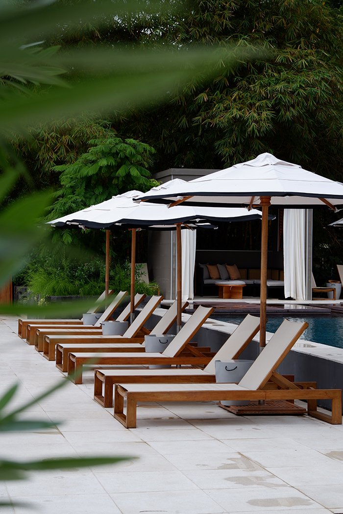 Sleep among the mangrove trees at El Mangroove Hotel,  sun beds and trees