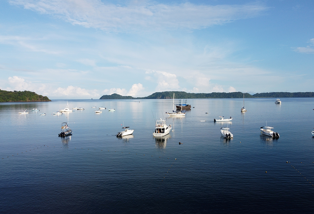 Sleep among the mangrove trees at El Mangroove Hotel morning beach view, calm waters and boats