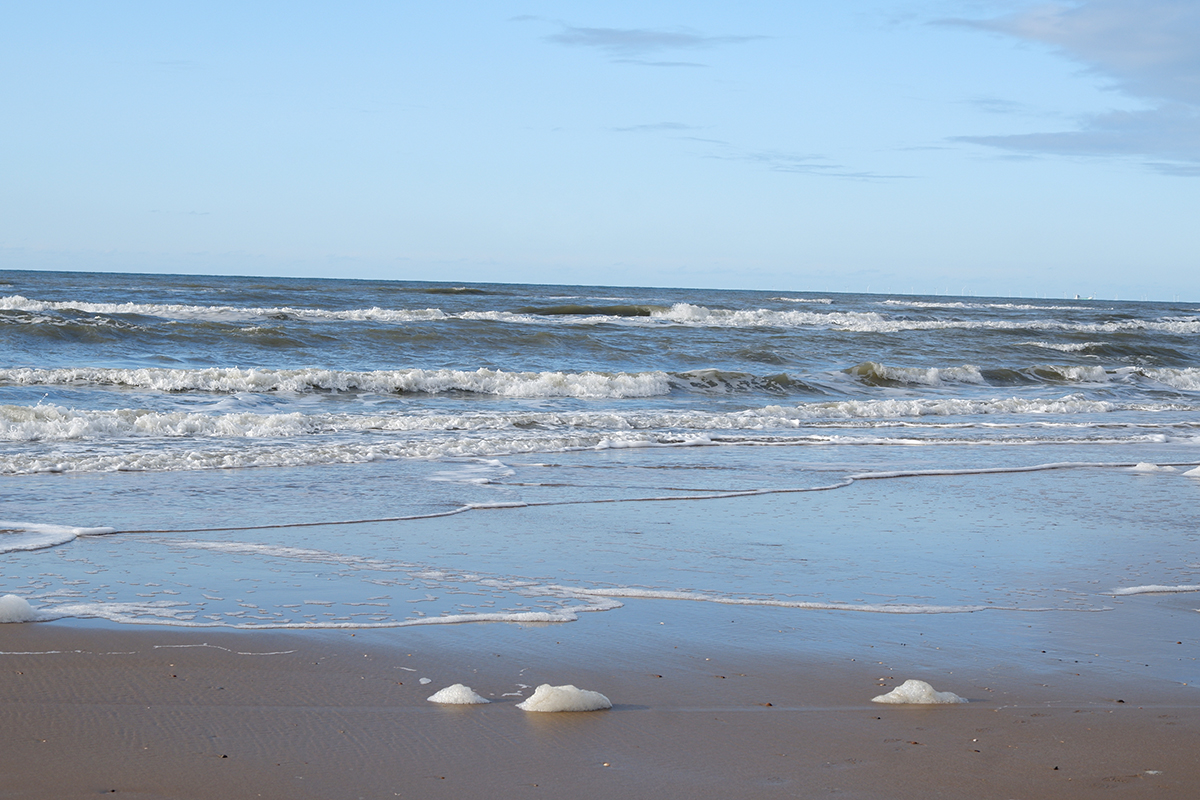 Amsterdam day trips: Bloemendaal aan Zee beach at the North Sea: foamy sea water 