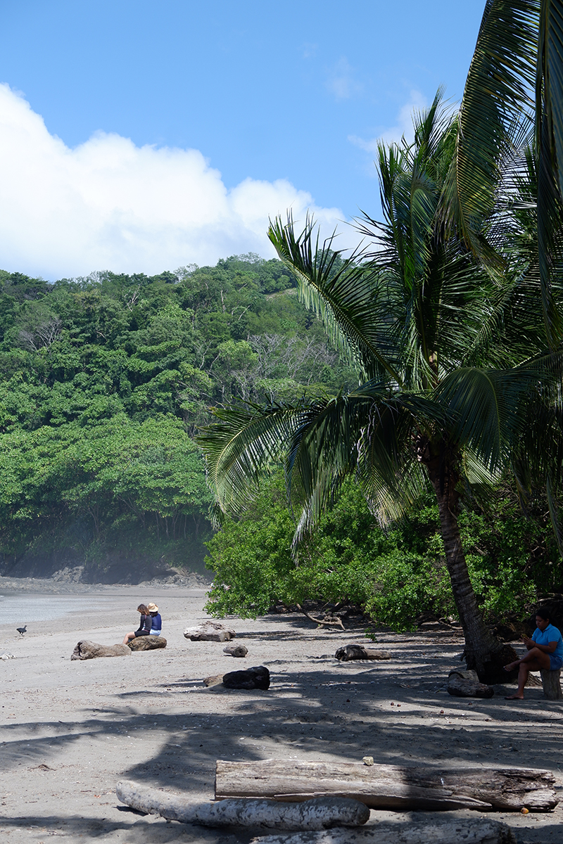 Find the Pura Vida life at Punta Islita, even if just for a few days: palms on the beach