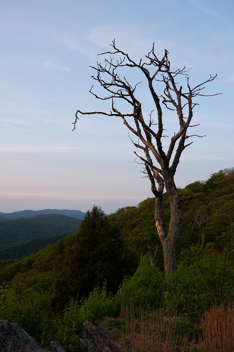 Reasons to slow-travel through Virginia's Shenandoah Valley, Skyline Drive, USA