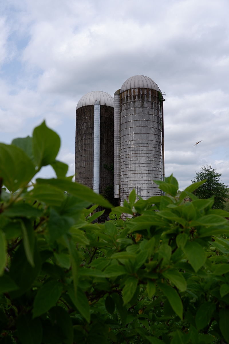 Reasons to slow-travel through Virginia's Shenandoah Valley