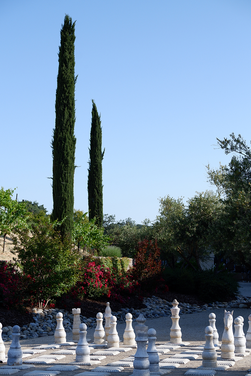 garden and a large chess board